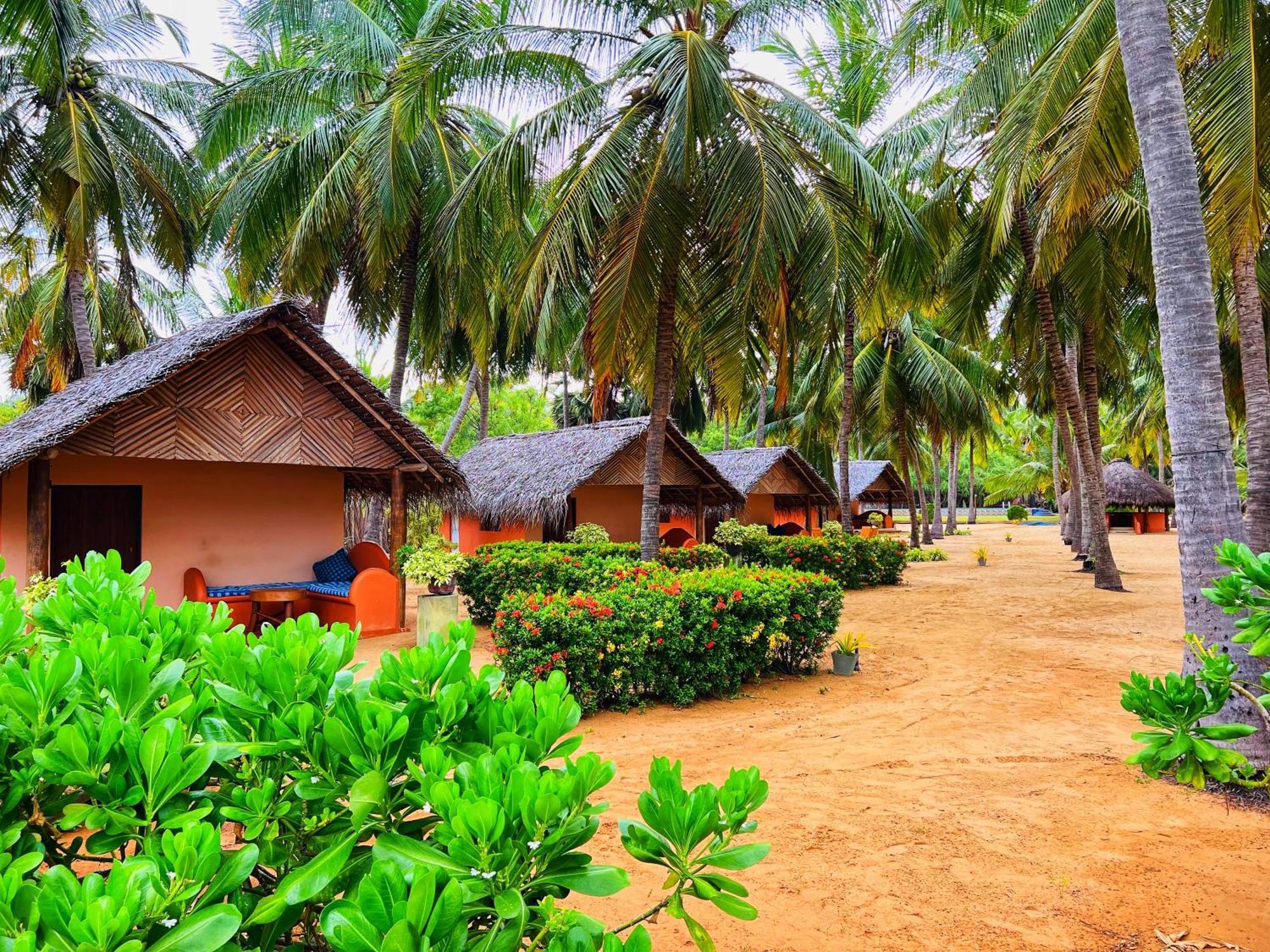 Roshanne Beach Resort Kalpitiya Exterior foto