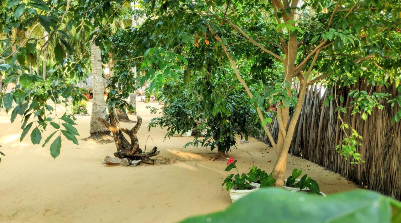 Roshanne Beach Resort Kalpitiya Exterior foto