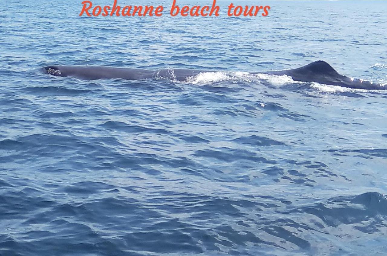 Roshanne Beach Resort Kalpitiya Exterior foto