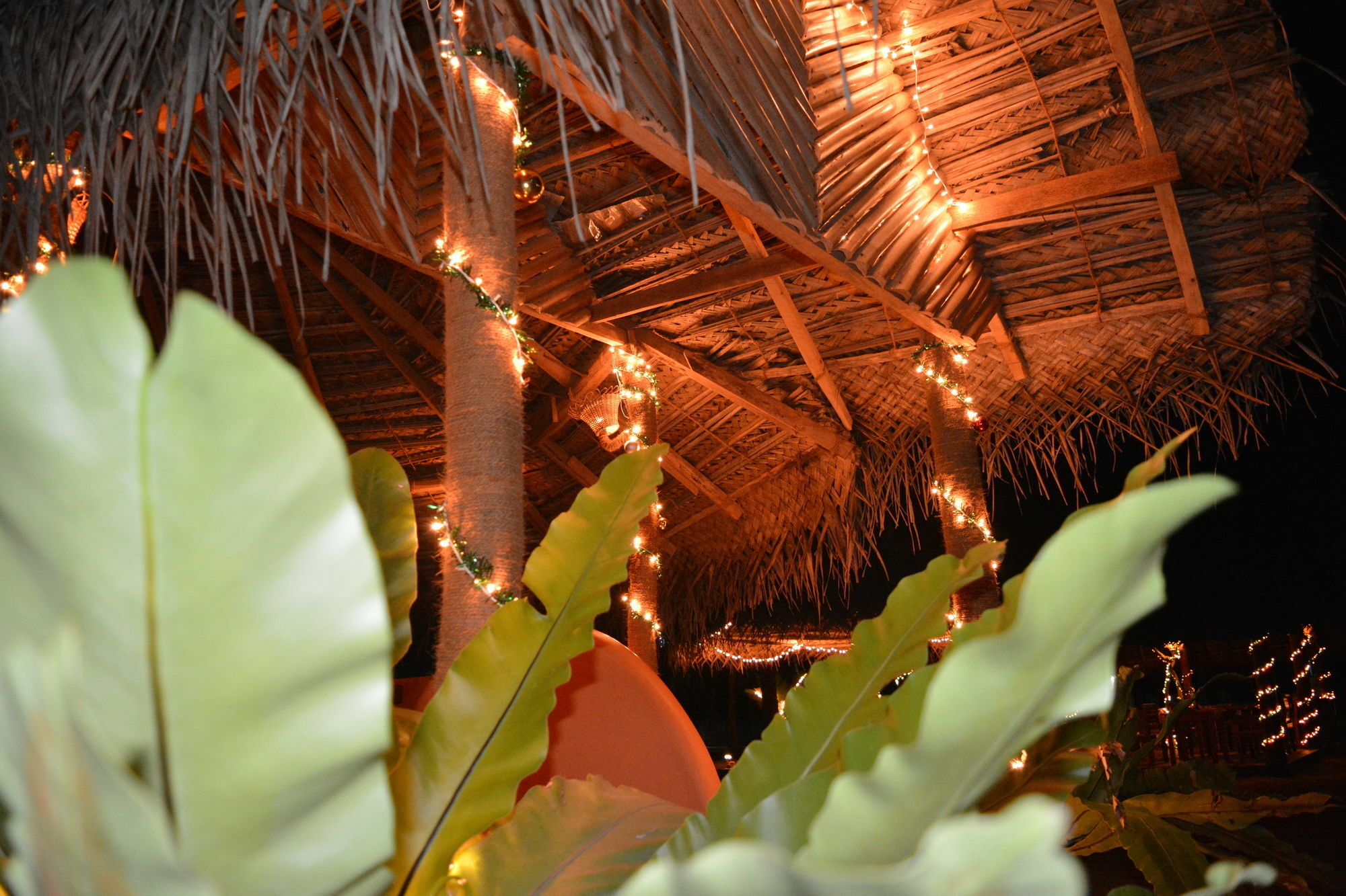 Roshanne Beach Resort Kalpitiya Exterior foto